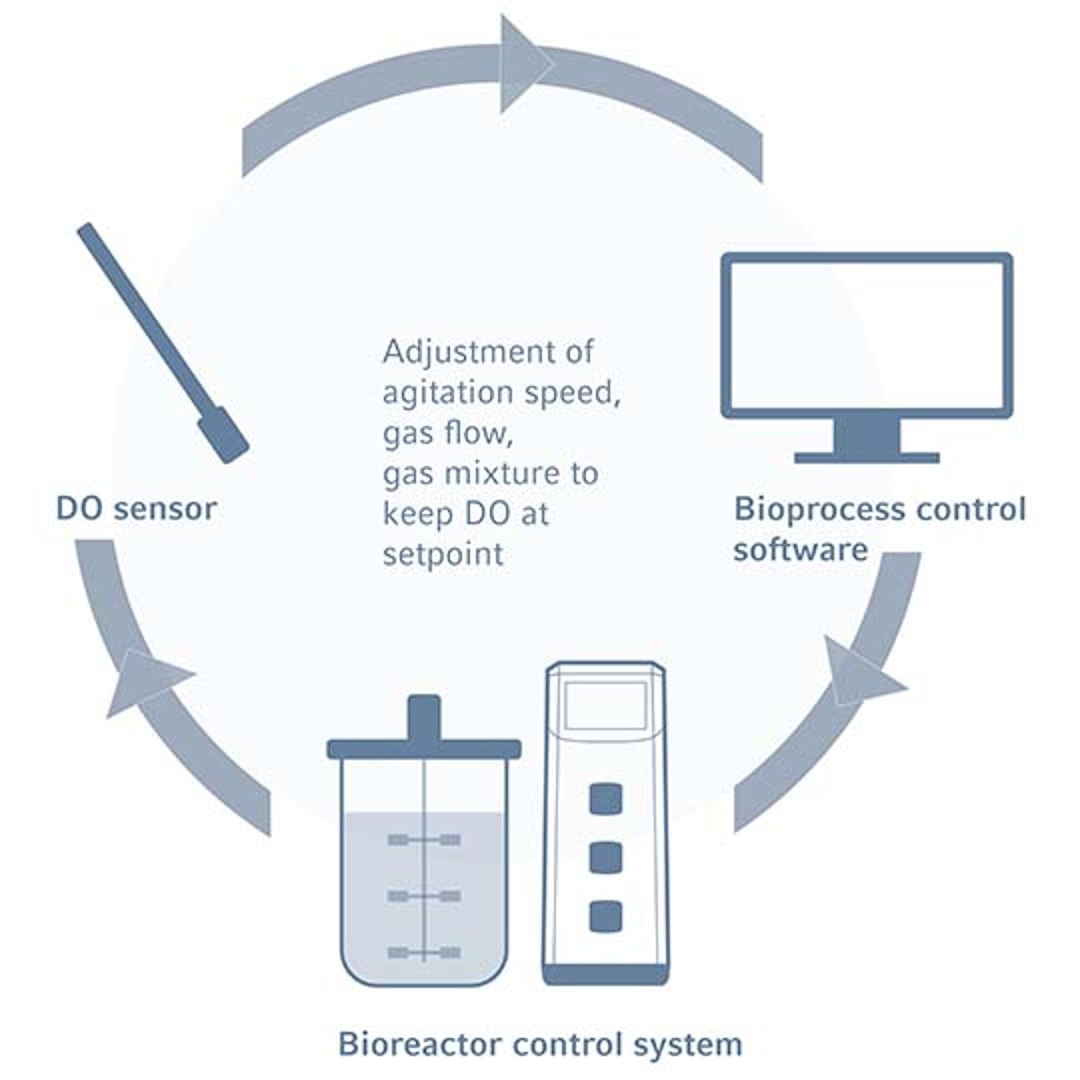 Optimizing pH and Dissolved Oxygen Control in Insulin Production with LIT!APP Solutions