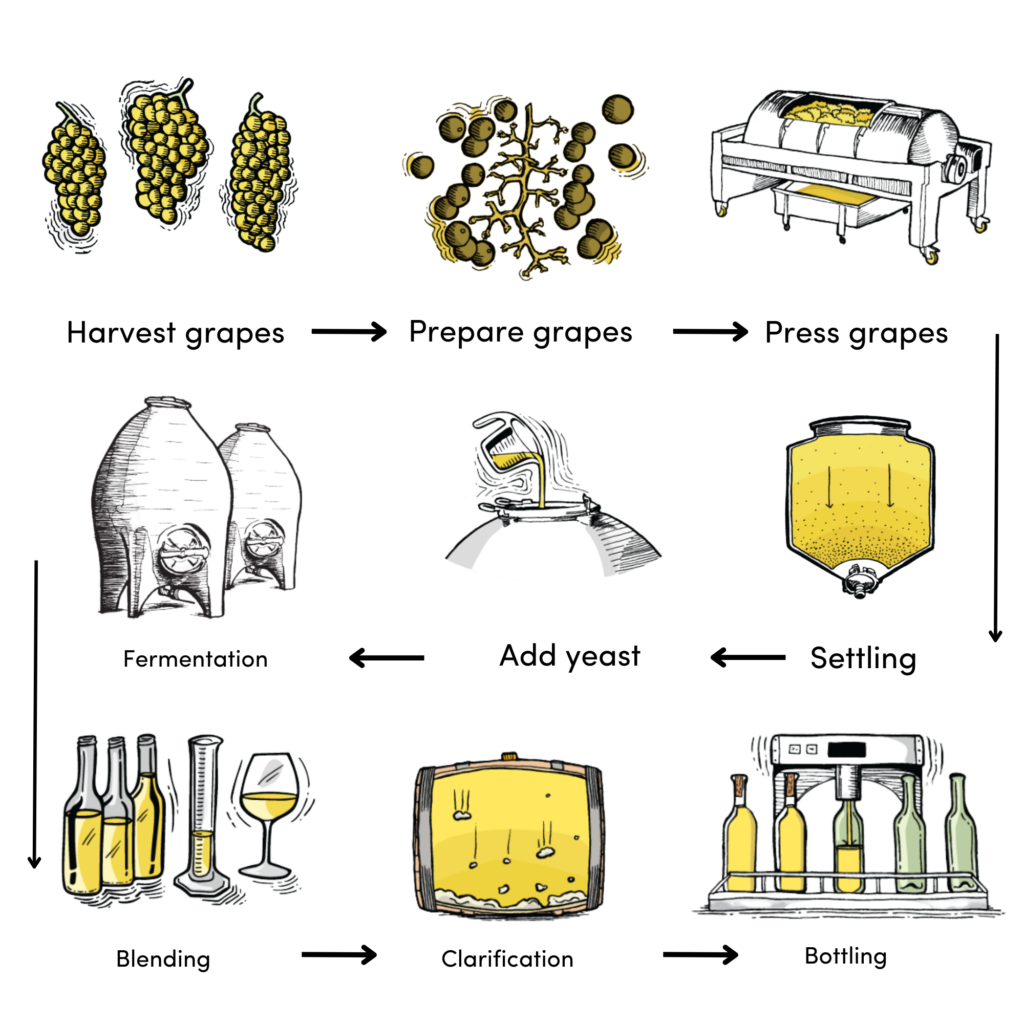 Enhancing Wine Quality with Parker Balston’s Nitrogen and Temperature Control Solutions